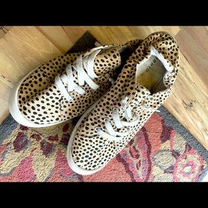 Pre-worn Leopard/spotted Torrid Riley ruched sneaker size 12W